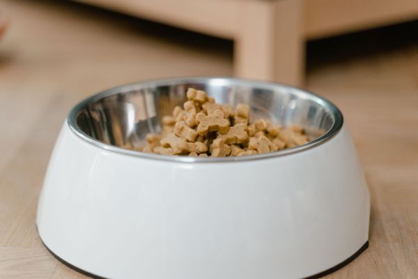 Les tendances en nourriture haut de gamme pour animaux